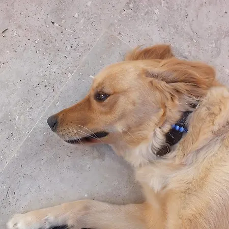 Oda ve Kahvaltı Dorukhan Kuşadası